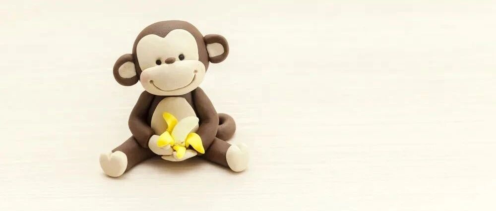 拔毛能变猴——来看全球首例体细胞克隆猴“中中”“华华”