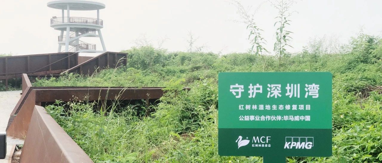 129人次，600分钟，一场超额完成的任务。