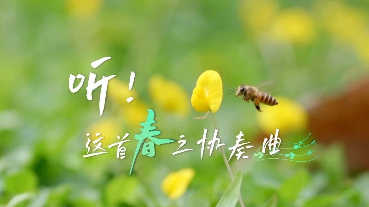 聽！春天協奏曲