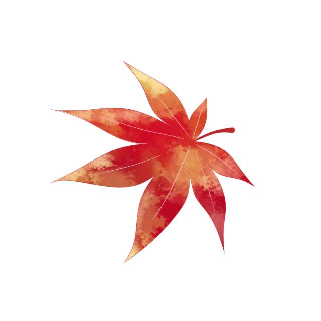 微信素材重阳节秋天枫叶标题
