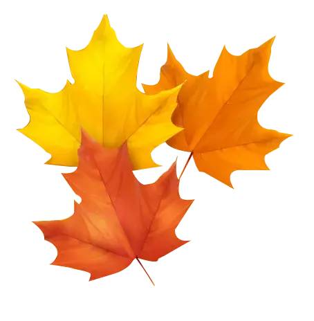 微信素材秋天树叶底色标题公众号推文颜色标题图文模板文章背景色标题