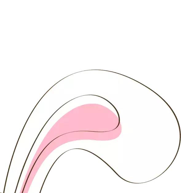 微信素材粉色可爱兔耳朵边框正文公众号推文段落线框图文模板文章卡片