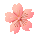 微信素材春天动态花朵底色标题