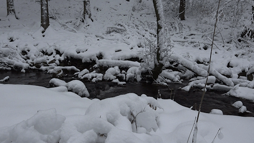 冬天林间小溪积雪地