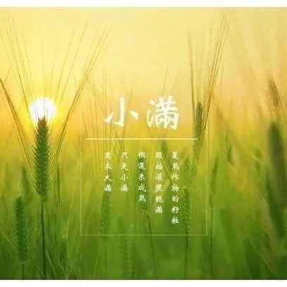 視頻：小滿