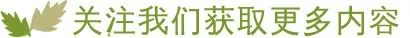 微信素材简约树叶引导关注点击关注模板公众号推送文章推文排版美化