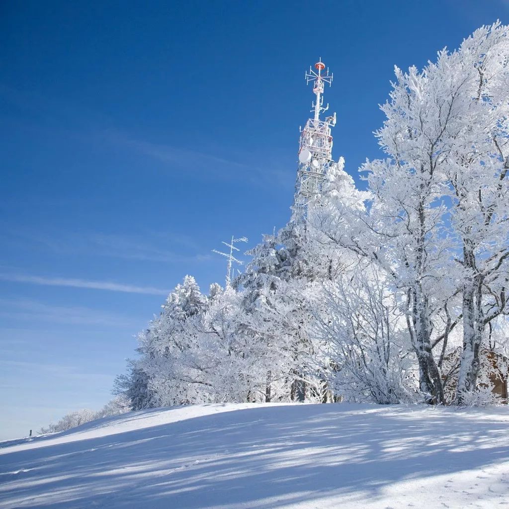 微信素材单图圆图 二十四节气 大雪1图文模板公众号推送文章推文一图片美化修饰