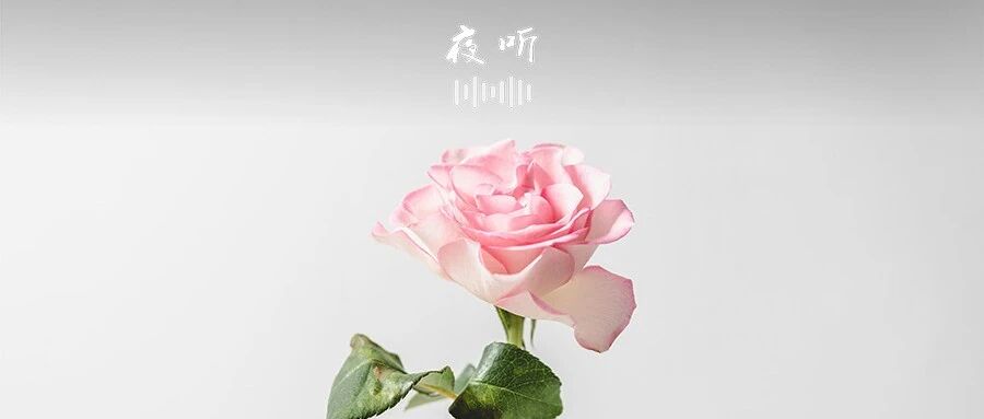 【夜听】致我最在乎的人