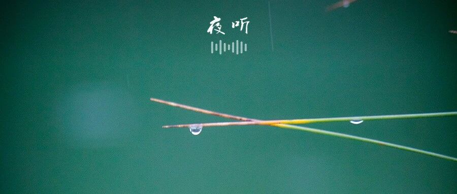 【夜听】我很好，愿你也是