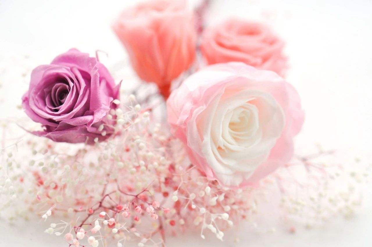 微信公众号粉色温馨妇女节花朵边框单图卡片纯图片文章一图推文1图片美化样式模板