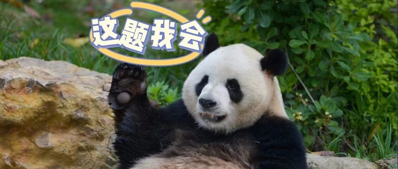 倒計時30天！開考！