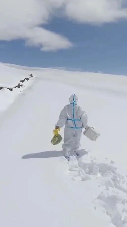 茫茫白雪裏，這個背影讓人動容