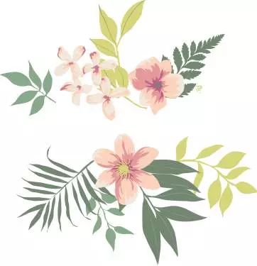 微信公众号母亲节叶子花朵背景粉色底色框线标题推文标题样式文章素材