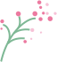 微信公众号春天春季立春清新绿色叶子虚线边框粉色小花朵标题正文组合卡片文章段落推文样式模板