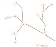 微信公众号冬季二十四节气墨绿色白色半透明底色小花背景图底色正文卡片文章段落推文样式模板