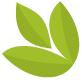 微信素材世界环境日绿叶树叶标题