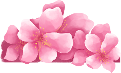 微信素材樱花花朵底色标题