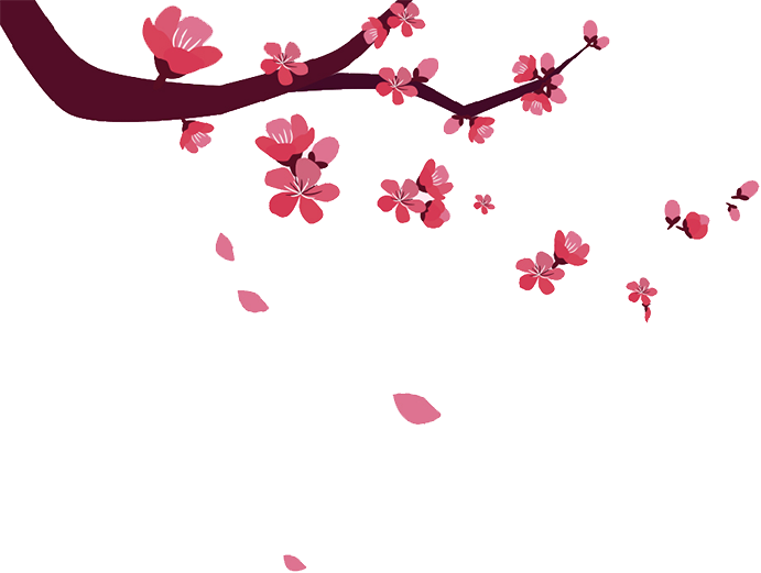 樱花粉红色背景微信公众号推送图文模板推文素材微信文章模板