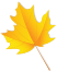 微信素材底色边框立秋秋天树叶标题