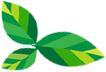 微信素材绿色叶子边框正文公众号推文段落线框图文模板文章卡片环保环境日
