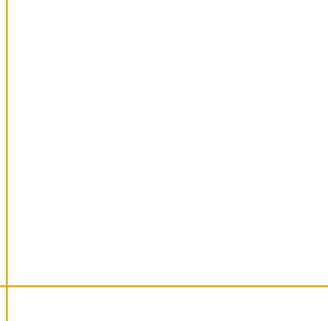 微信公众号黄色边框单图底色内容图文宠物文章一图推文1图片美化样式模板