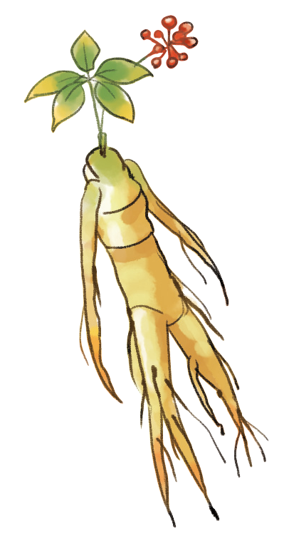 中國醫師節