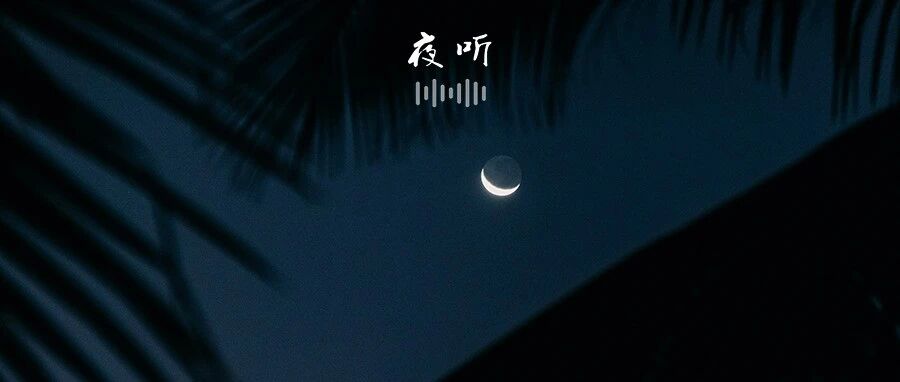 【夜听】看淡得失