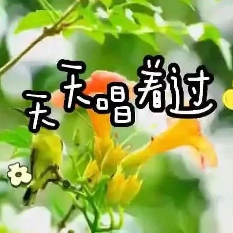 ?《天天唱著過》