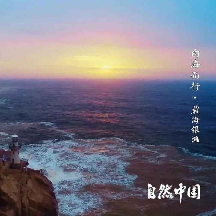 收藏！自然中国《向海而行》全集来了！